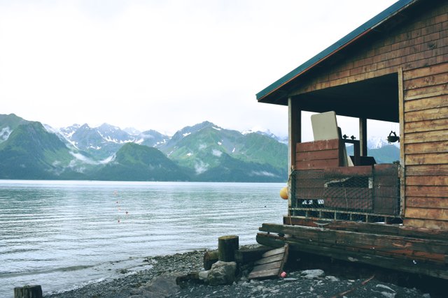 Alone in Alaska Wilderness ❄️.jpg