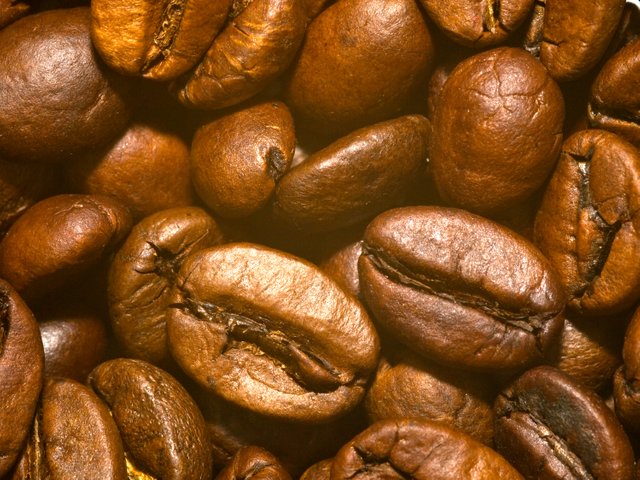 2018-Coffee-Beans-02.jpg