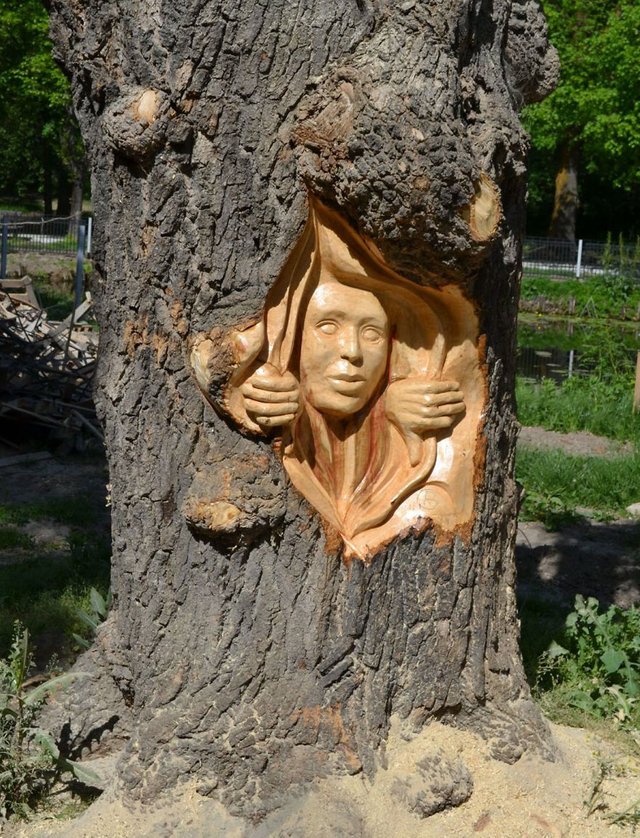 Artist-makes-art-on-tree-stumps-leaving-parks.jpg