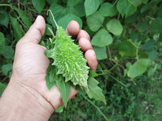 IMG_20250420_182646_703.jpg