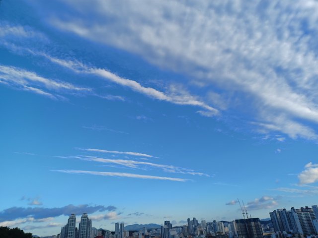 1729691720448-4.jpg