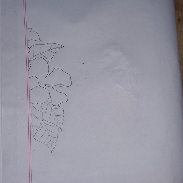 20251006_213157.jpg
