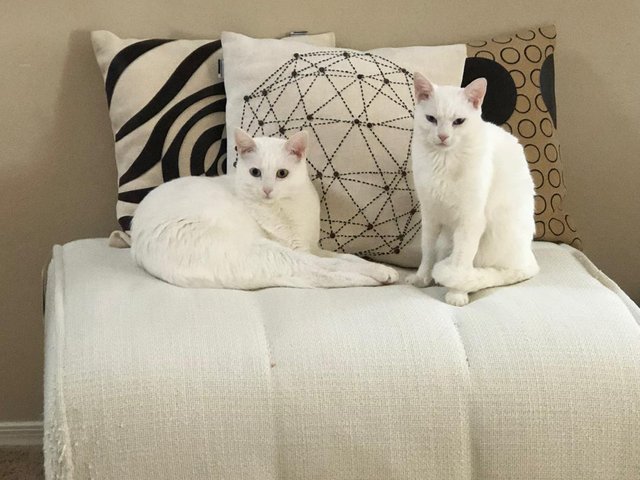 big and small.jpg