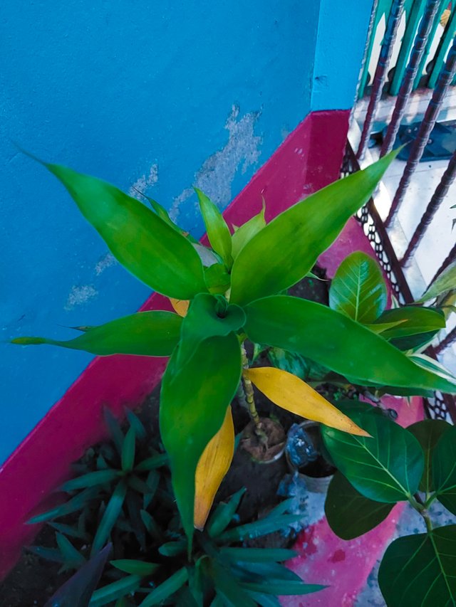 20220930_175430.jpg