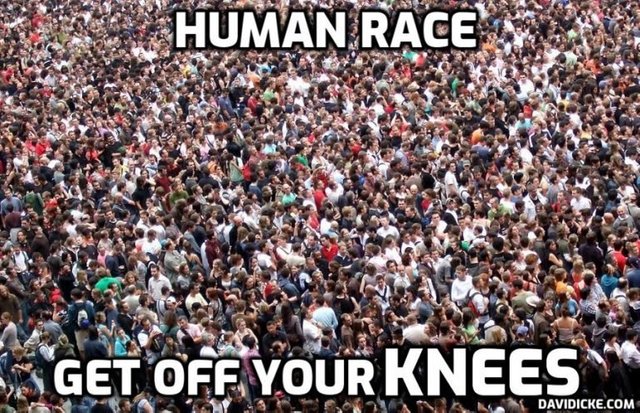 HUMAN-OFF-KNEES-IMAGE-768x495.jpg