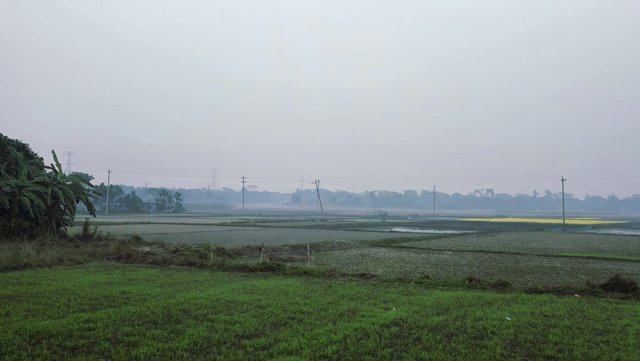 Notes_250806_125919_a5c.jpg