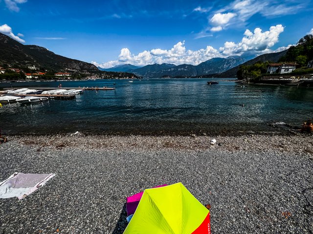 IMG_5566.jpg