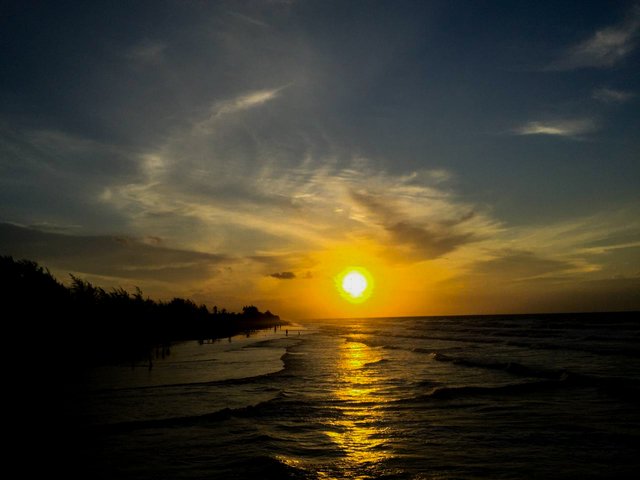 IMG-20241029-WA0202.jpg