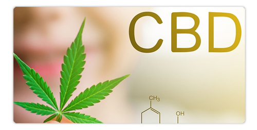 CBD-Can-it-make-you-high-like-THC-cannabis-Plantandhemp.png