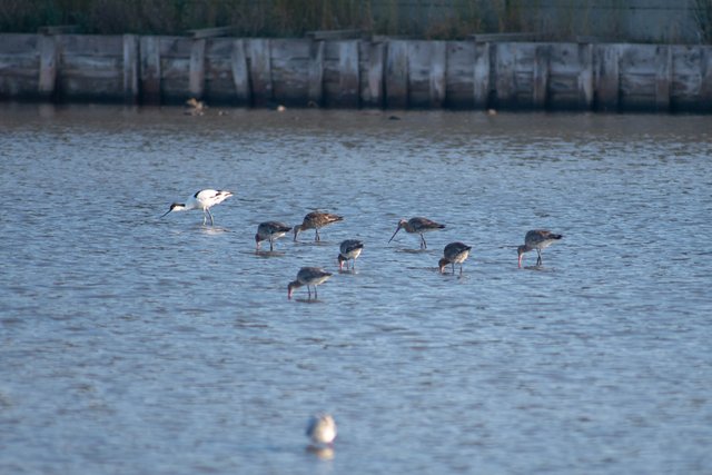 DSC_6473.jpg