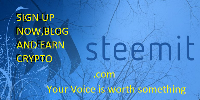 steemit-review.png