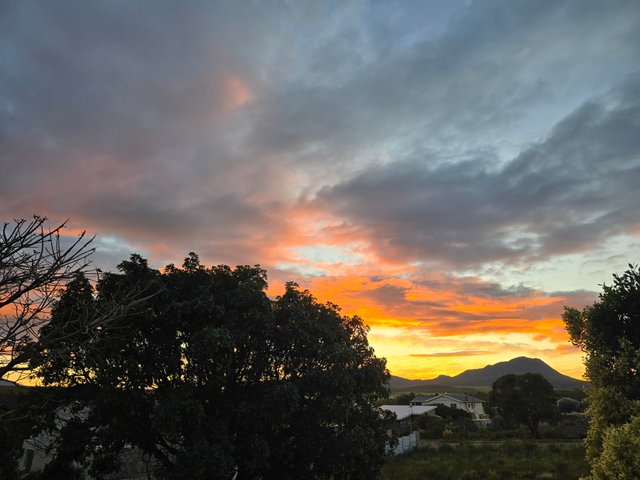 20250714_074954.jpg
