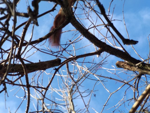 IMG_20191201_131814.jpg