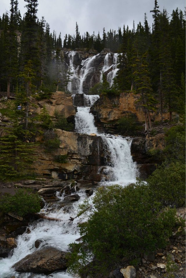 tangle creek fall.jpg