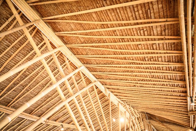 texture-background-of-bamboo-roof-2021-09-01-03-33-22-utc.jpg