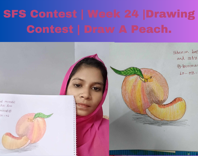 SFS Contest  Week 24 Drawing Contest  Draw A Peach..png