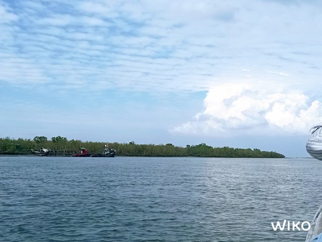 IMG_20241129_134152405.jpg