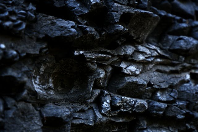 pexels-wey1an-10483447.jpg
