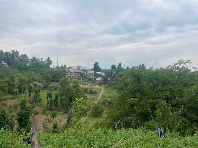 IMG_3907.jpeg