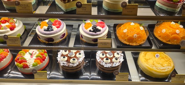 KakaoTalk_20250804_210418166_10.jpg