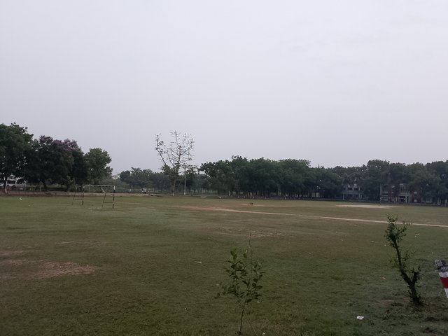 1000036866.jpg