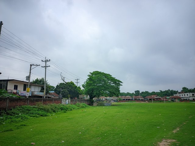20250627_085524.jpg