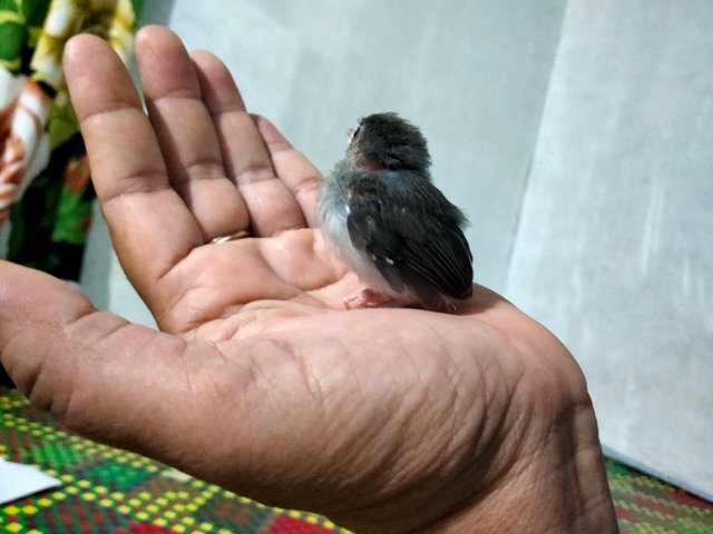 IMG20250722113404.jpg