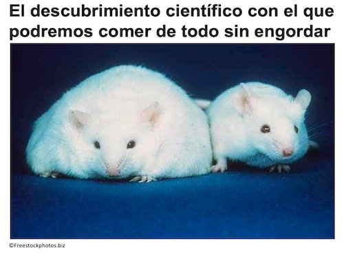 ratas.jpg