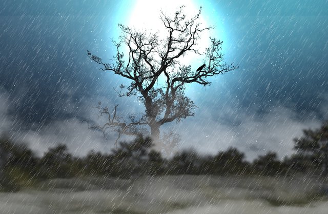 rain-5571034_1920.jpg