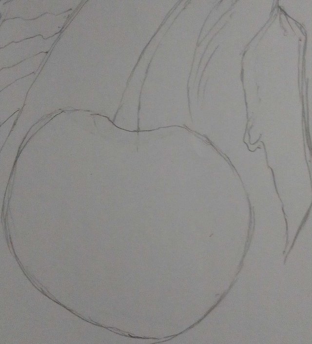 ciru5.jpg