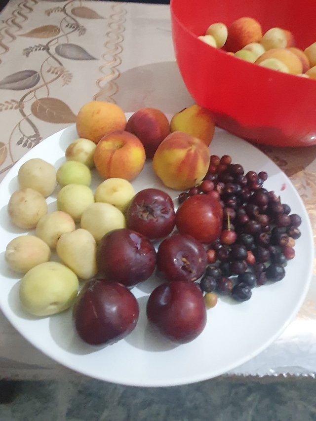 20250603_160919.jpg