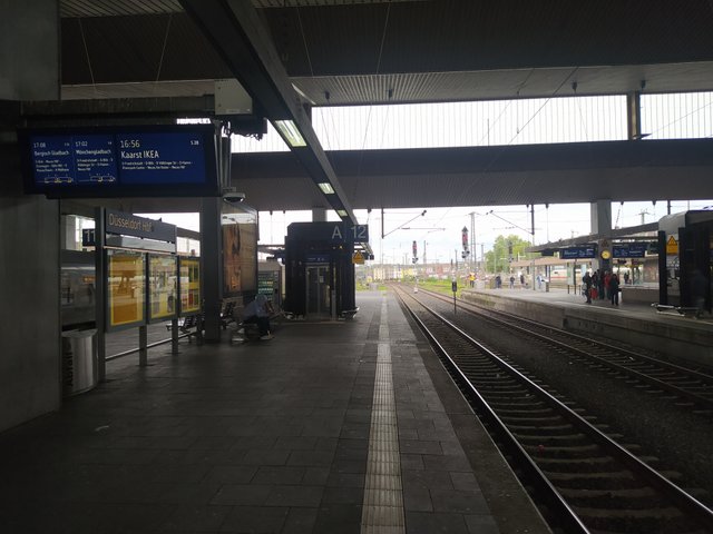 IMG_20250504_164939.jpg