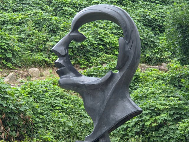 1000015471.jpg