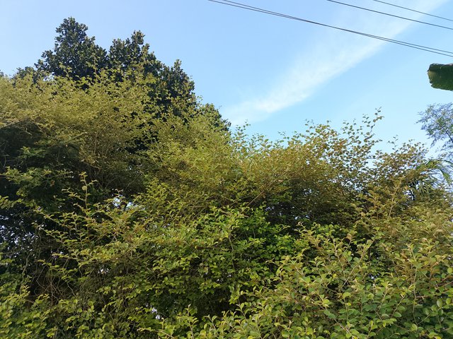 1000045589.jpg