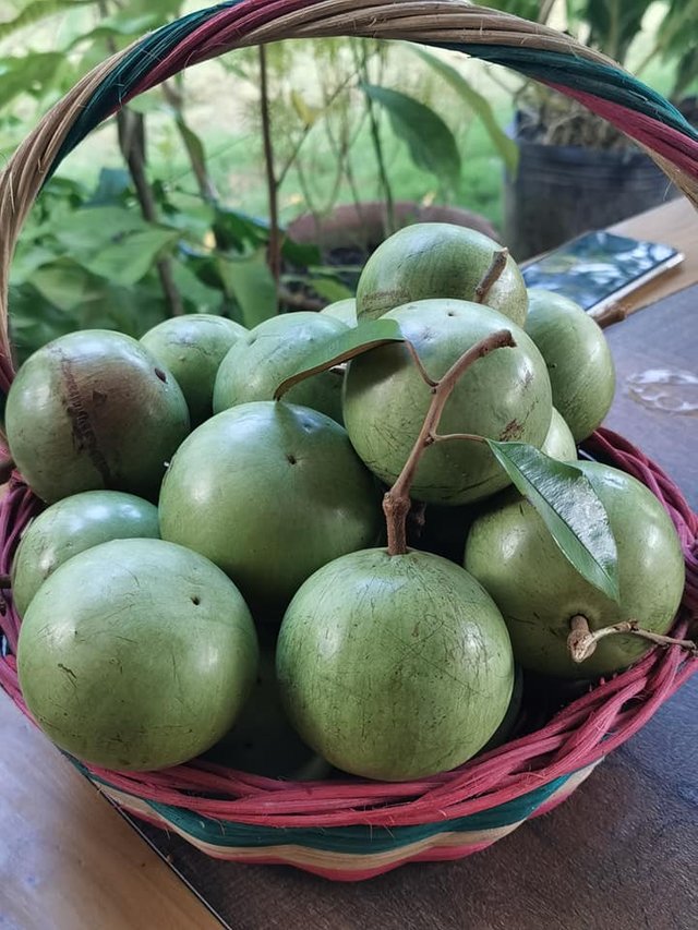 fruits star apples in a basket.jpg