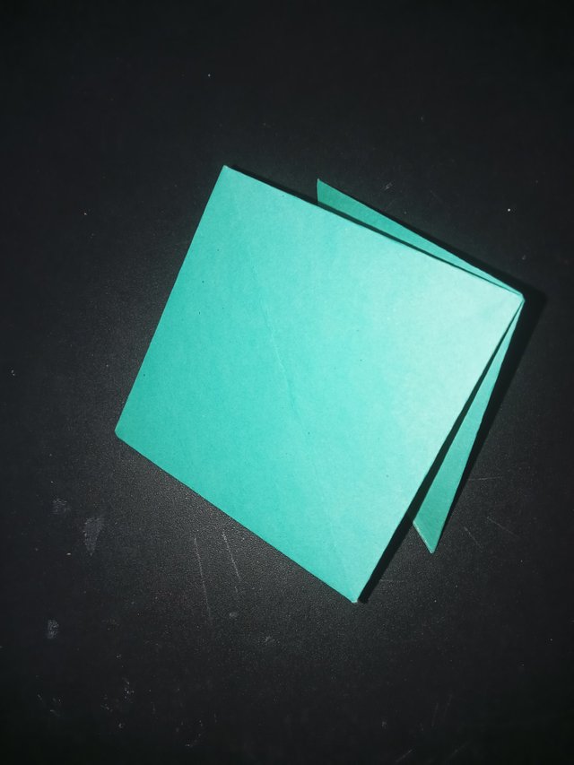 1000029795.jpg