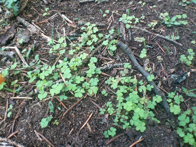 20180524_214551.jpg