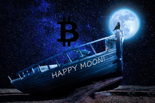 moon, měsíc, hodler, to the moon, lambo, bitcoin.jpg