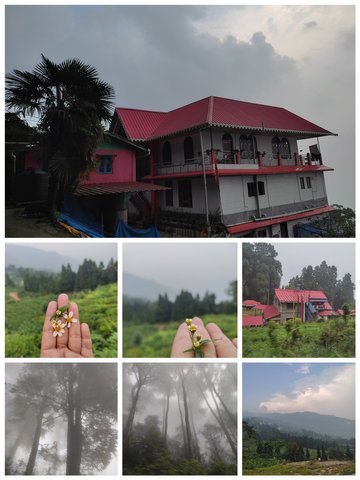 JvFFVmatwWHRfvmtd53nmEJ94xpKydwmbSC5H5svBACH81LT5xX6Rk9VvGigzpRmWaURzeEApgimfK5aW8D7PiKvRM24j8ji7r4P6vus4ffpkT4VRcEigydGEZXiiTzordbNWuYRjC.jpeg