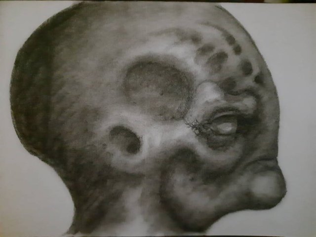 20250614_105824.jpg