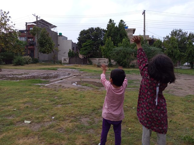 IMG-20250524-WA0027.jpg