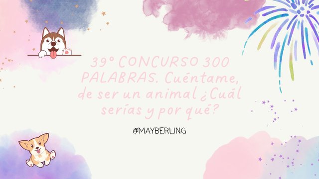 39° CONCURSO 300 PALABRAS. Cuéntame, de ser un animal ¿Cuál serías y por qué.jpg