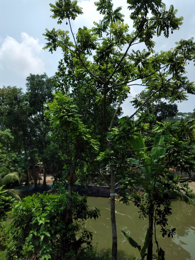 20250609_114618.jpg