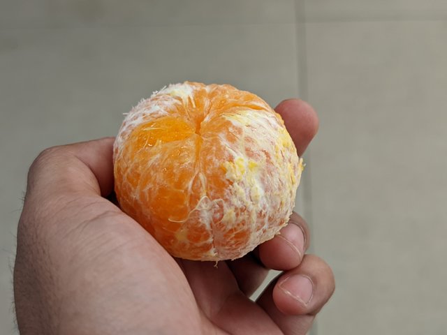 1000033076.jpg