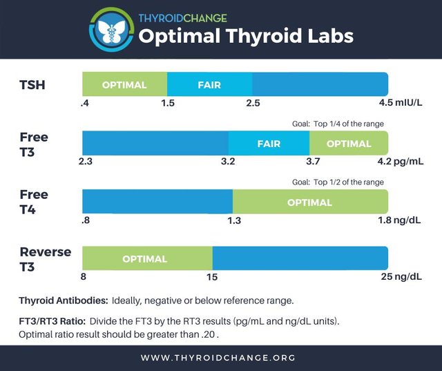thyroid tests.jpeg