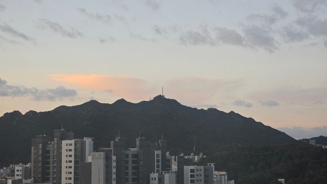1000143377.jpg