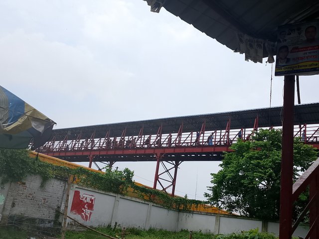 1000050253.jpg