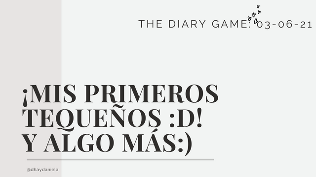 THE DIARY GAME III 03-06-21 ¡¡Mis primeros tequeños :D! y algo más).png