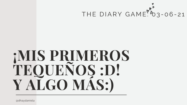 THE DIARY GAME III 03-06-21  ¡¡Mis primeros tequeños :D! y algo más).png