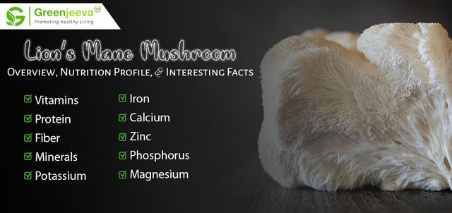 Lion’s-Mane-Mushroom-greenjeeva.jpg